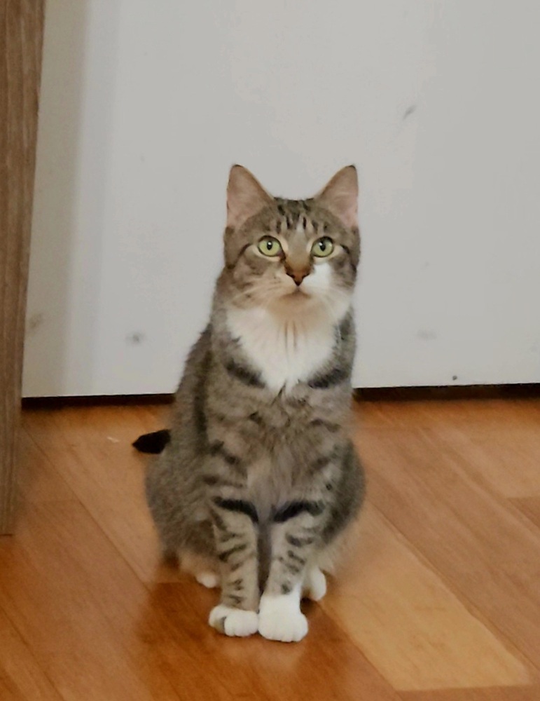 Mama Xina