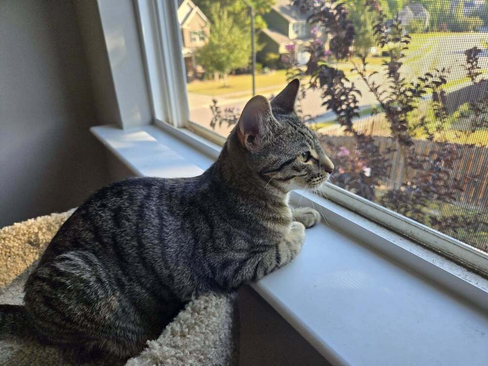 Eden