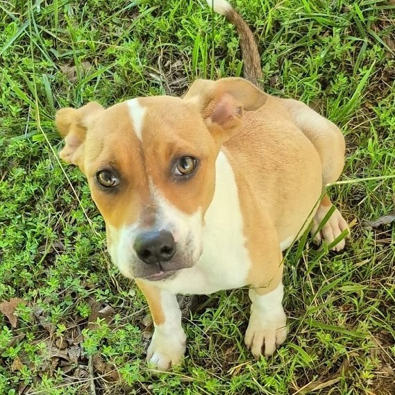 Rudy