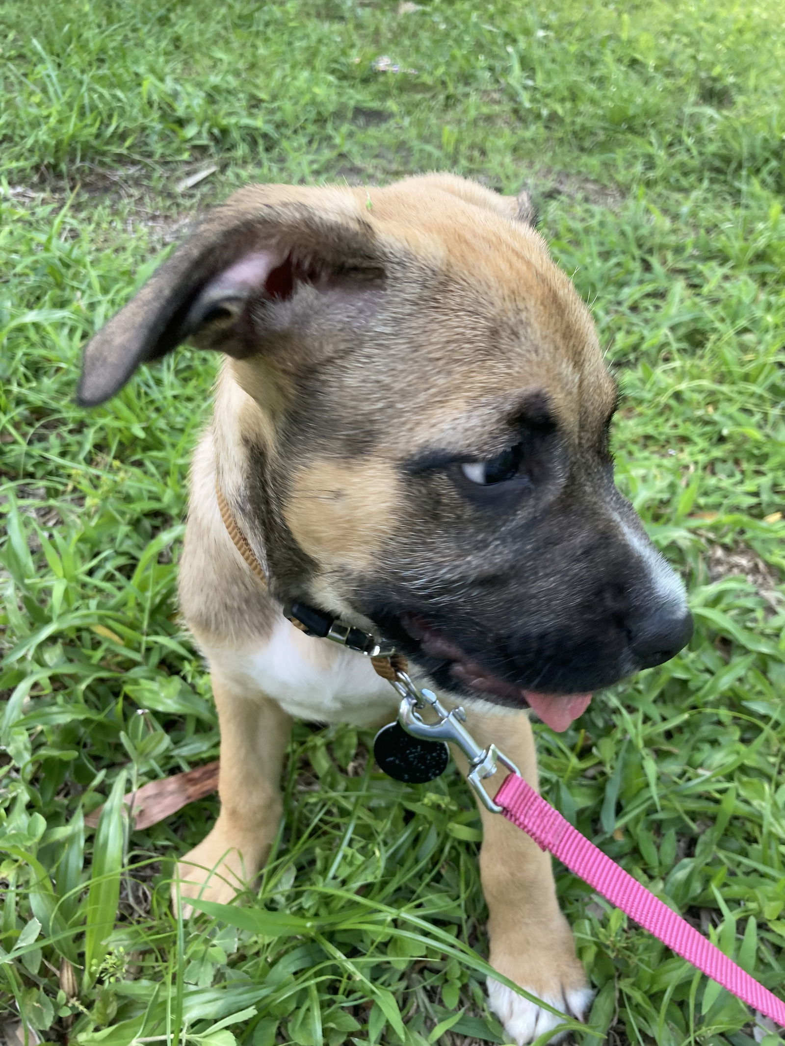 Kali *