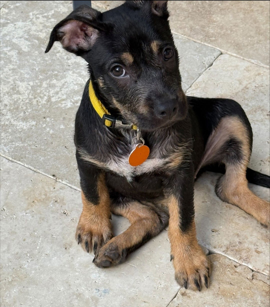 Kaia *