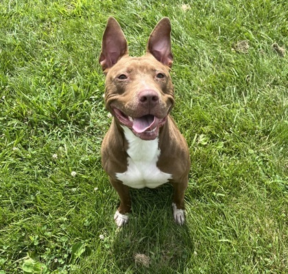 Oakley