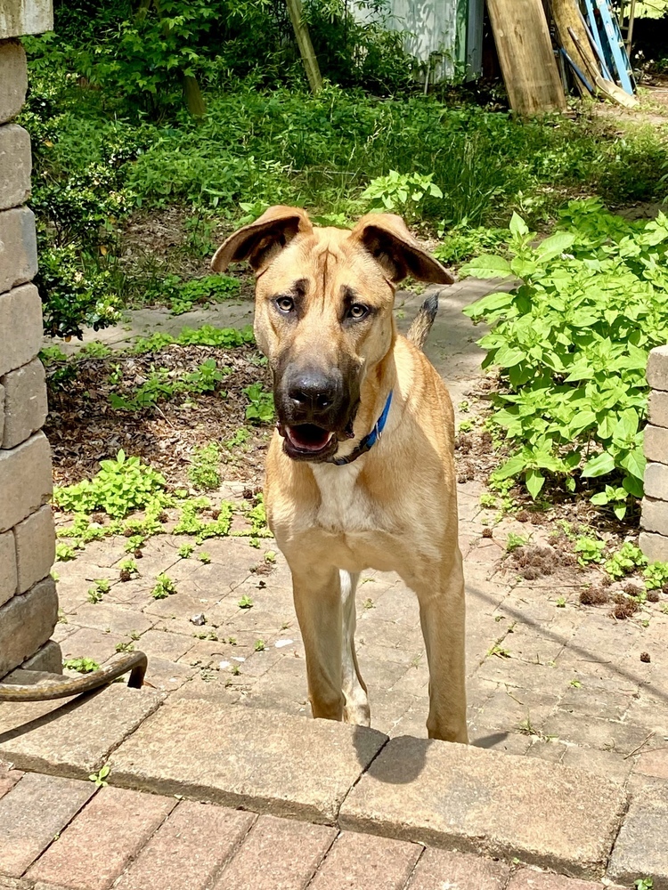 Max