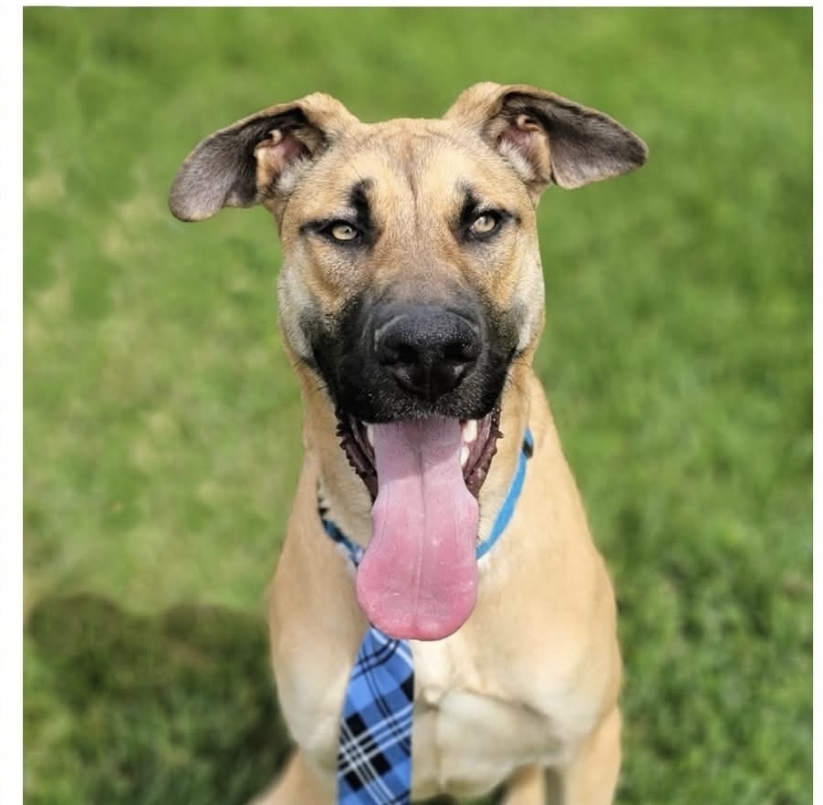 Max