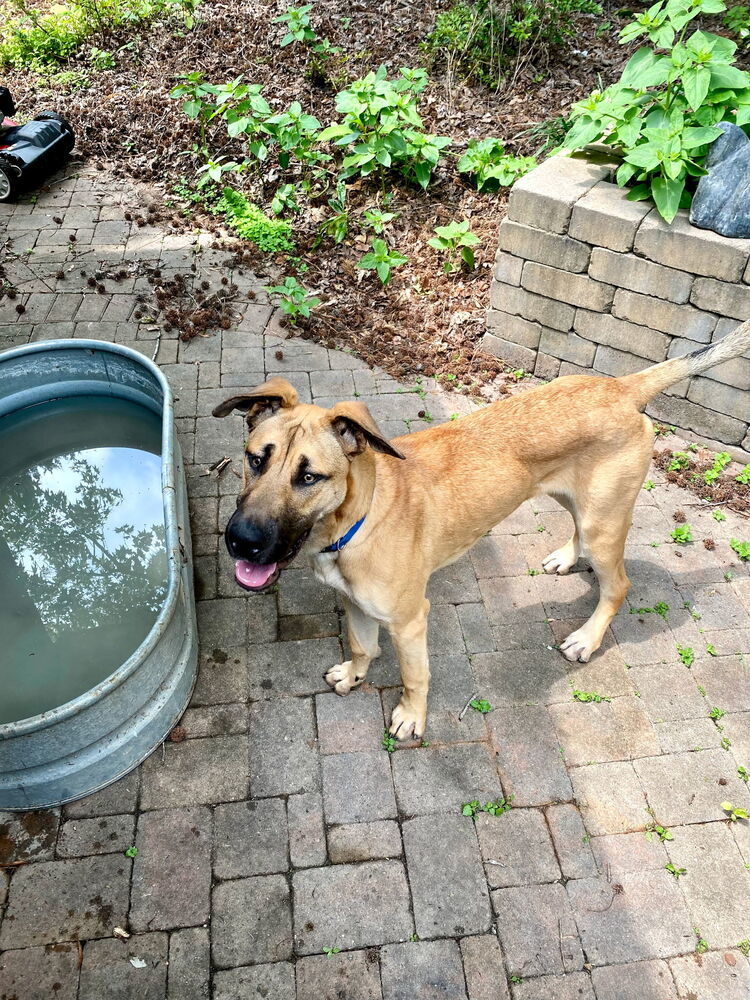 Max