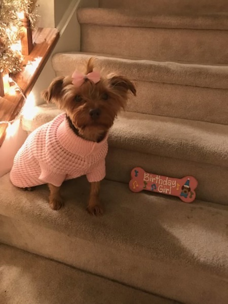 Mia