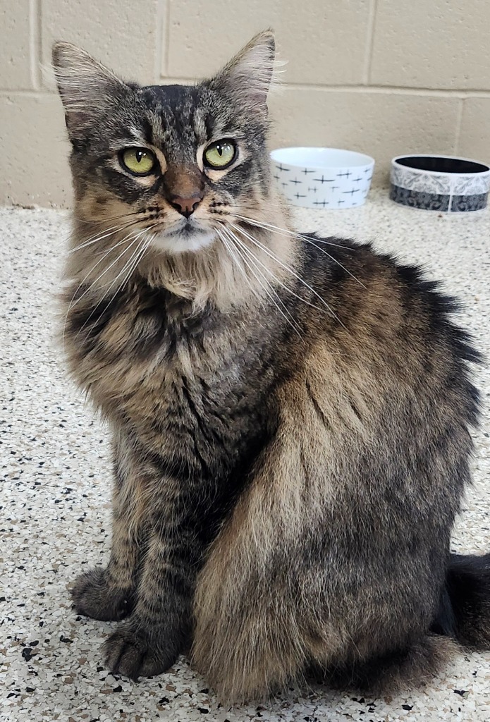Minnie