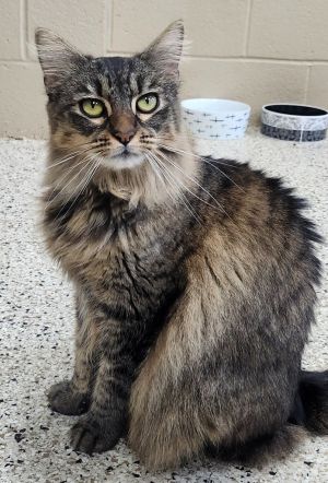 Minnie