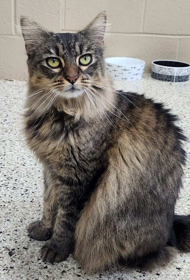 Minnie