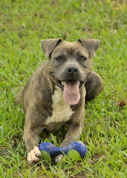 Tallulah 52223 1