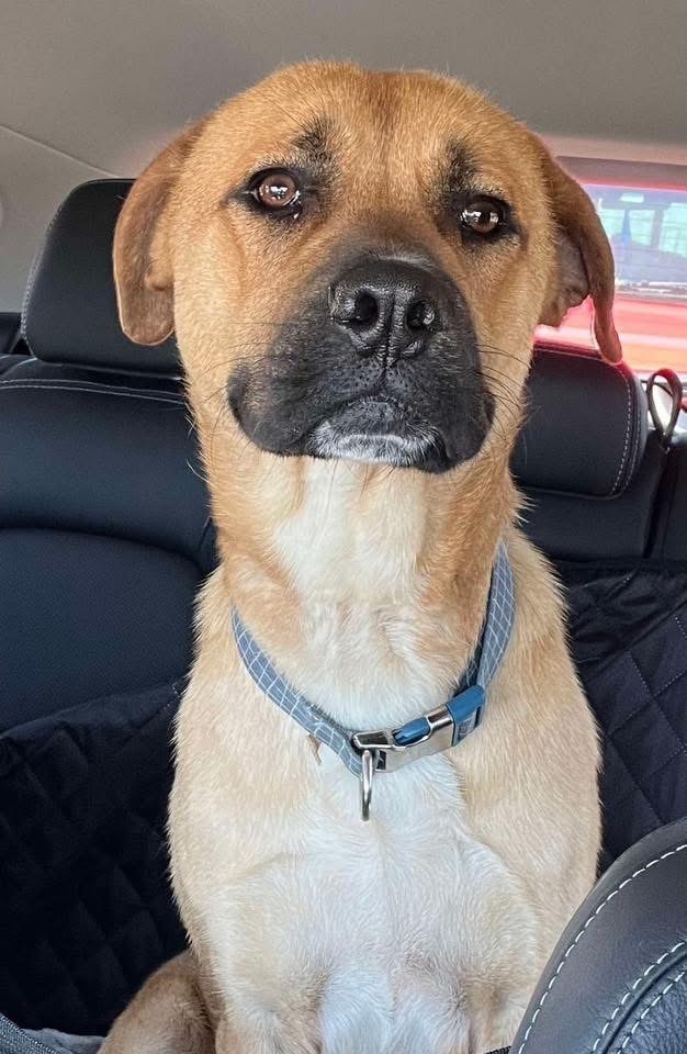Tyson