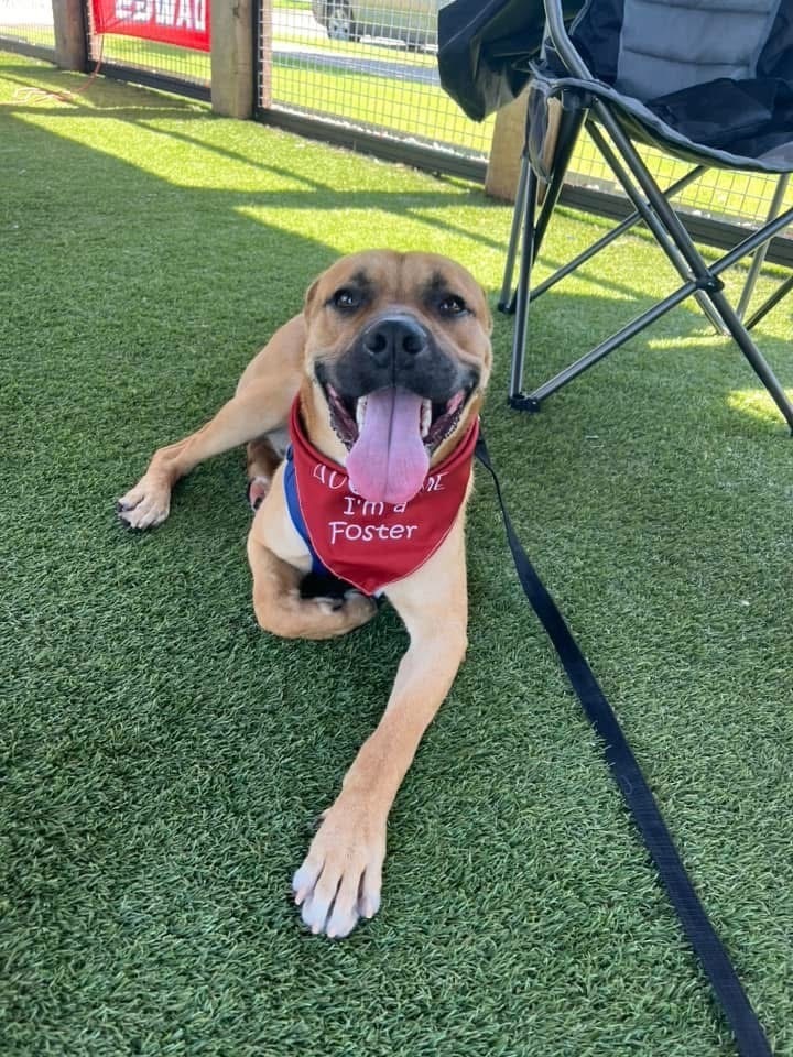 Tyson