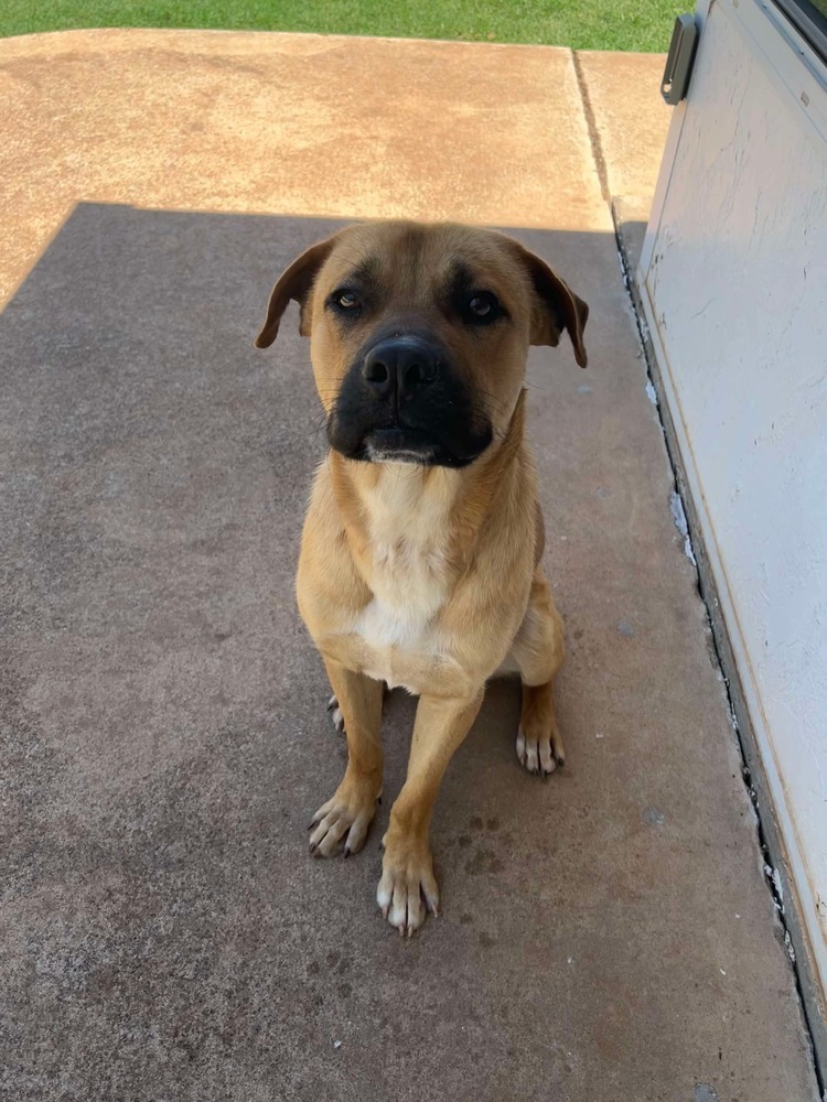 Tyson