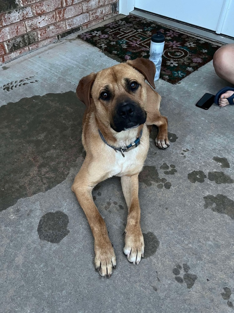 Tyson
