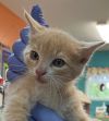 Jingles