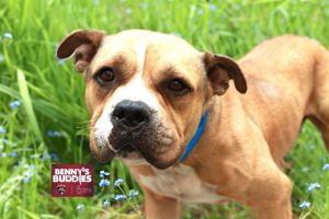 WATCH MY VIDEOHes just looking for your attention and a hand to hold Oliver is a 3-year-old gentle