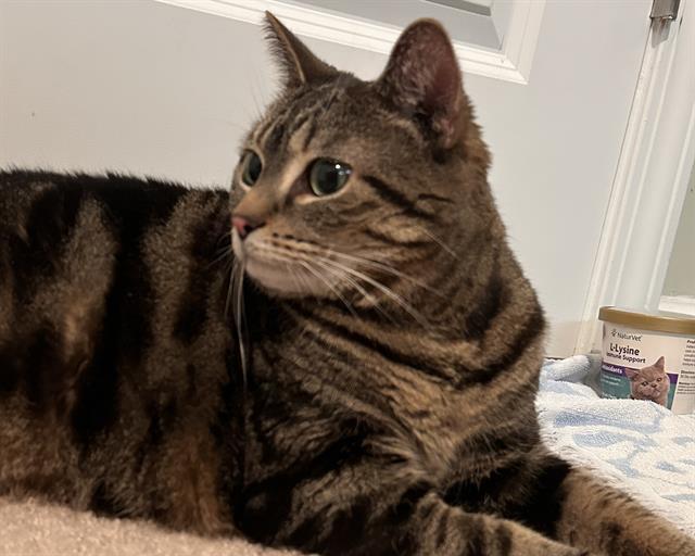 KIKI