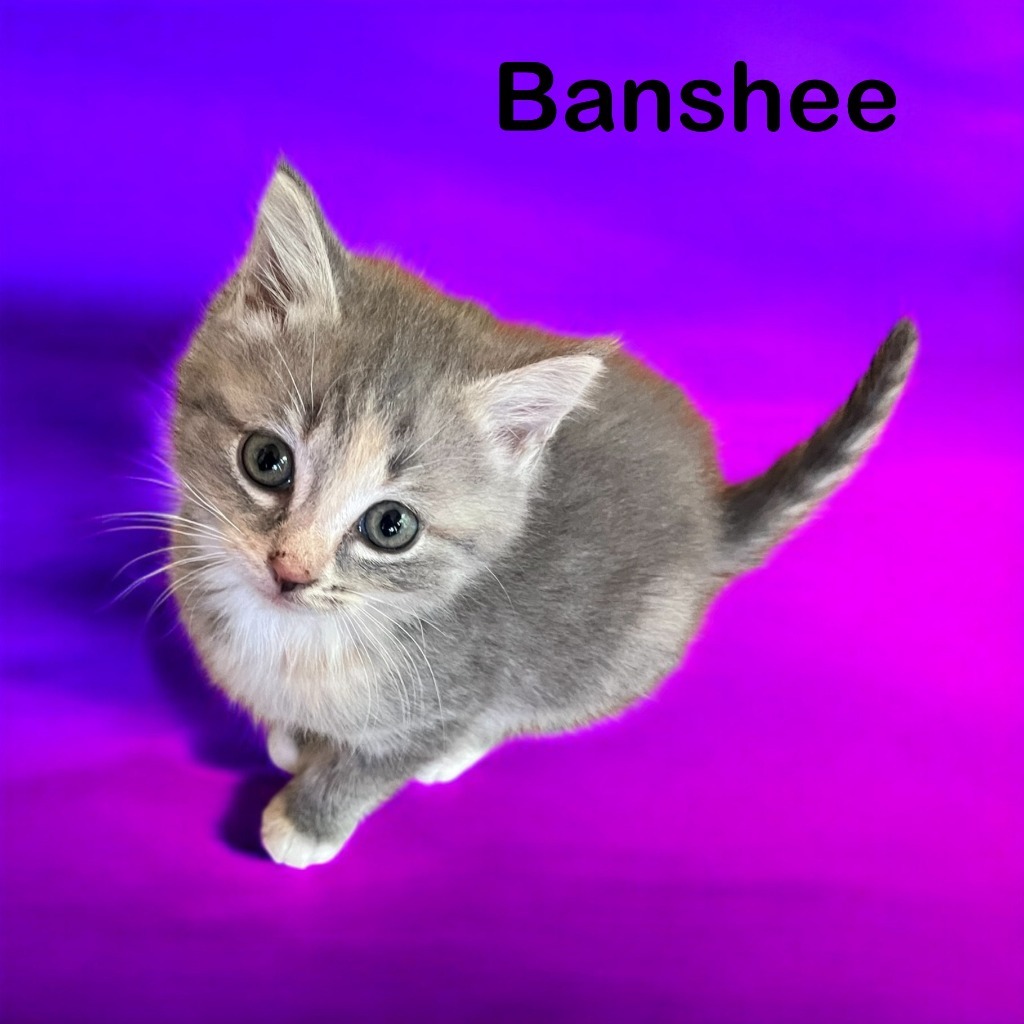 Banshee