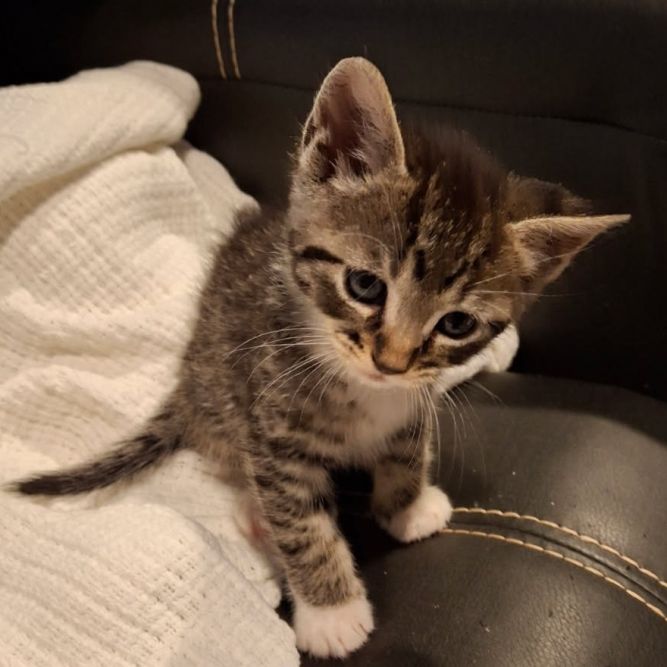 Kensi-Simi Valley