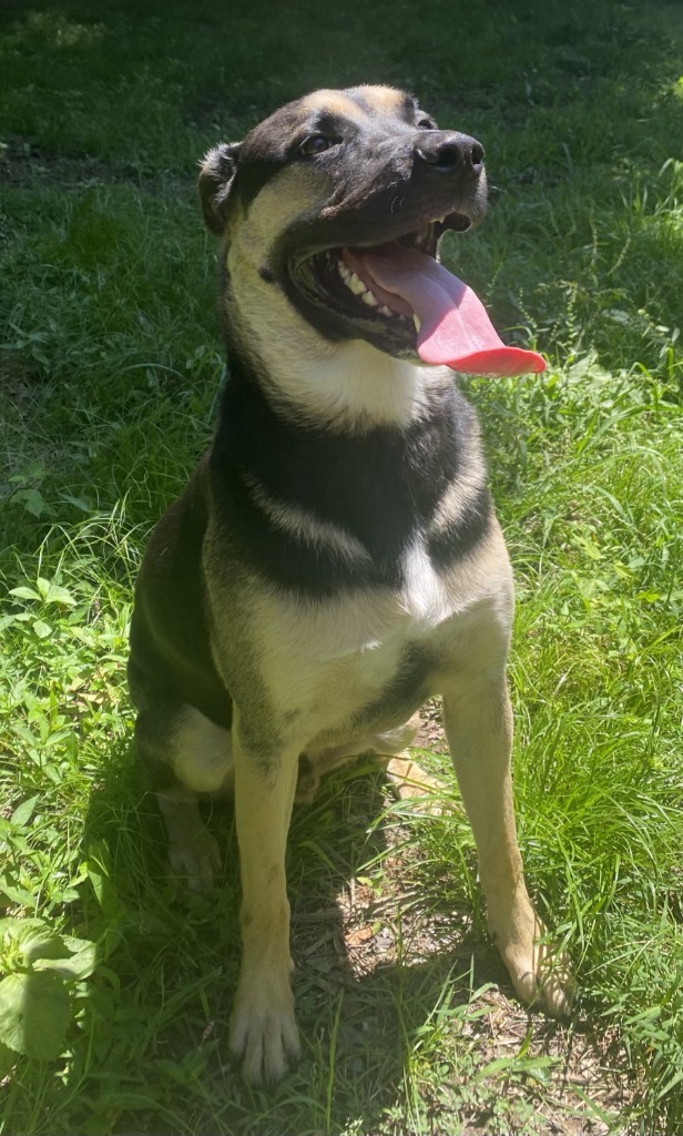 Rocco