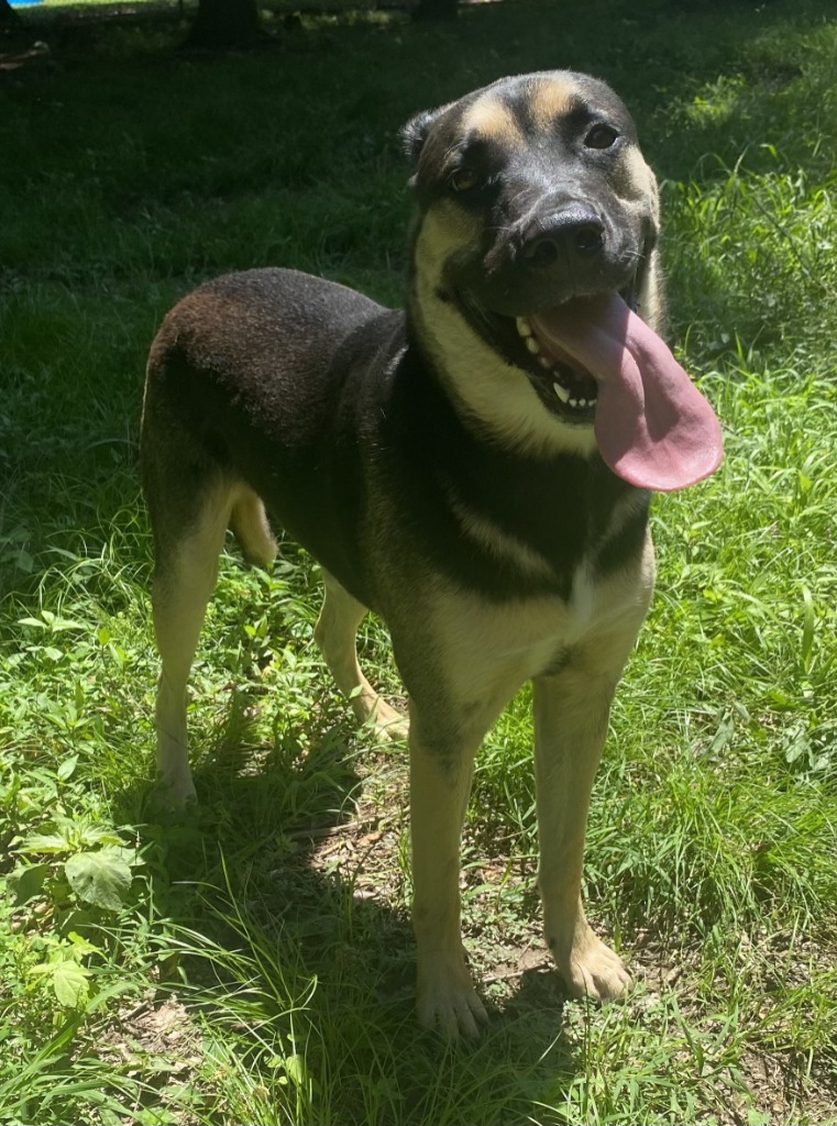 Rocco