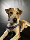 Bella photo 3