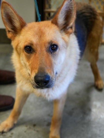 Luna Mae (Bonded W/ Taz)