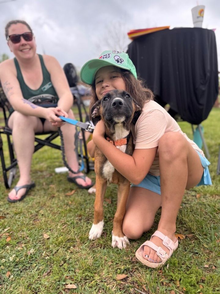 Pearl with the pretty puppy eyes 7
