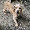 Nigel photo 2