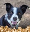 Sammy photo 1