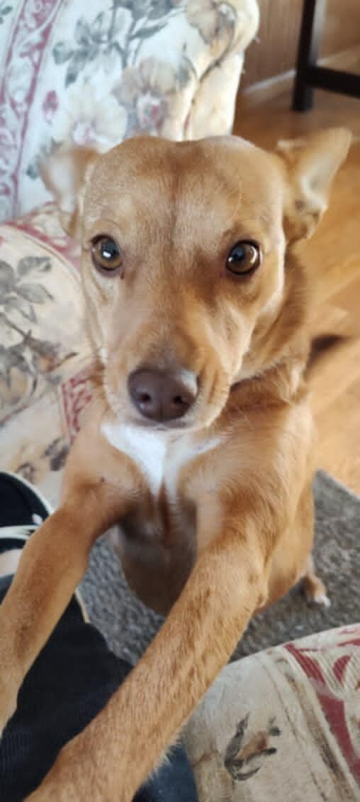 Caramel