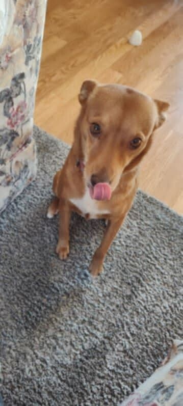 Caramel