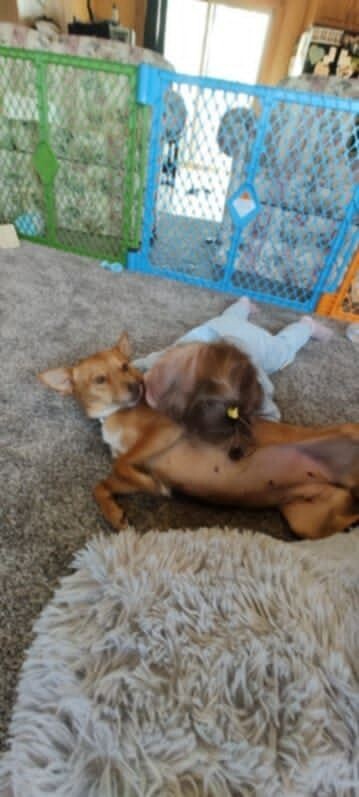 Caramel