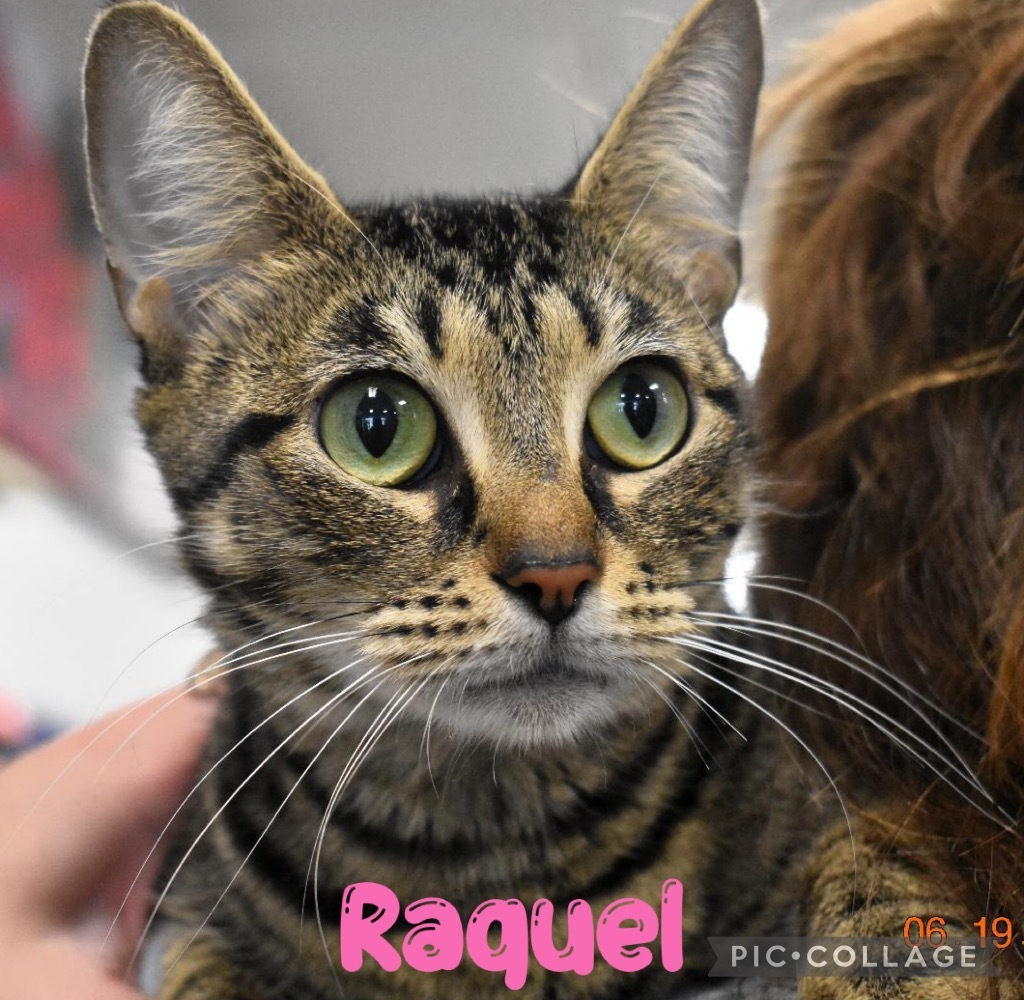 Raquel