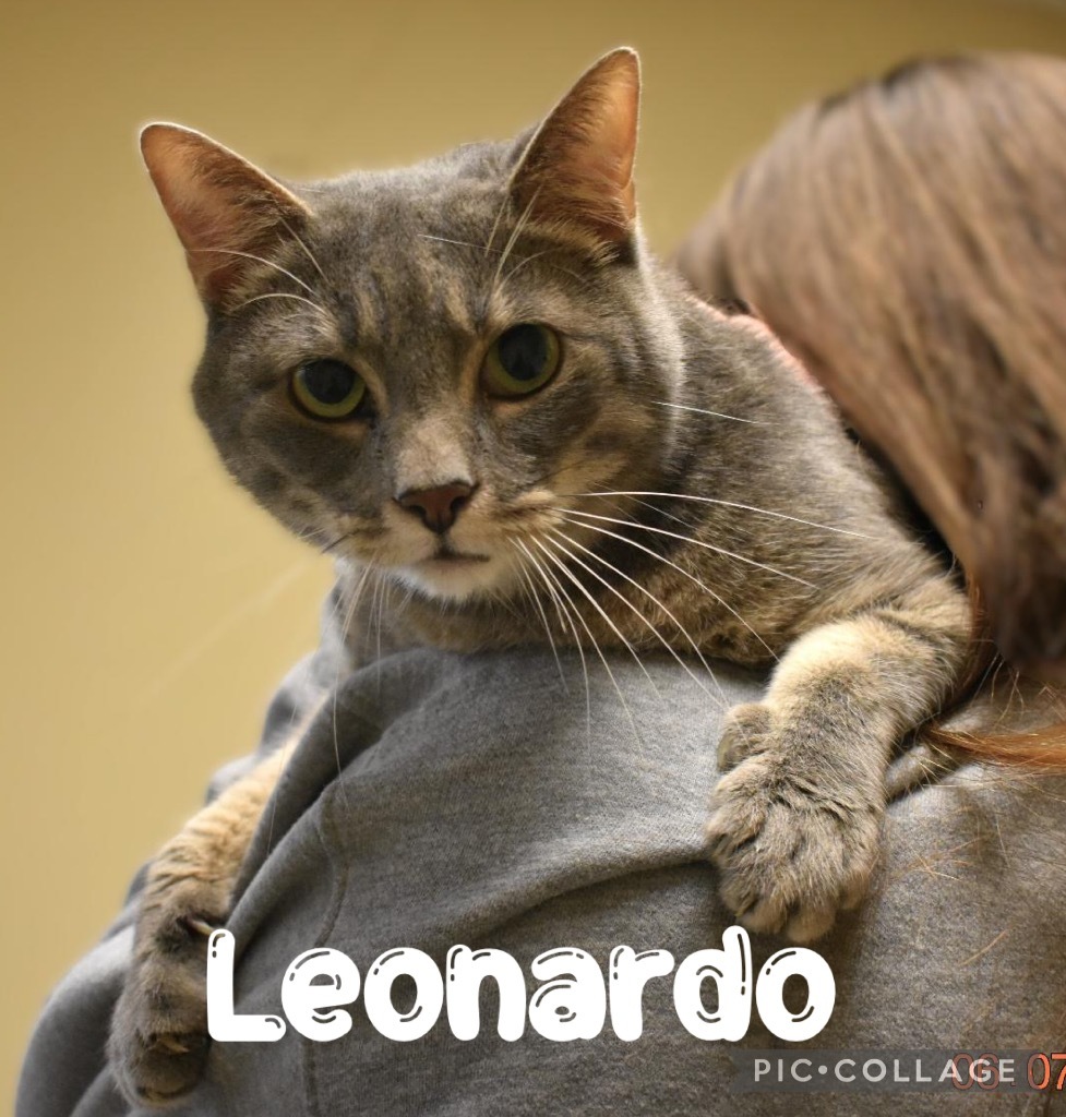 Leonardo