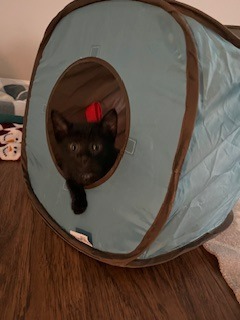 Pepper