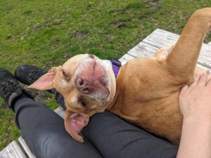 Nala