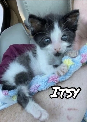 Itsy