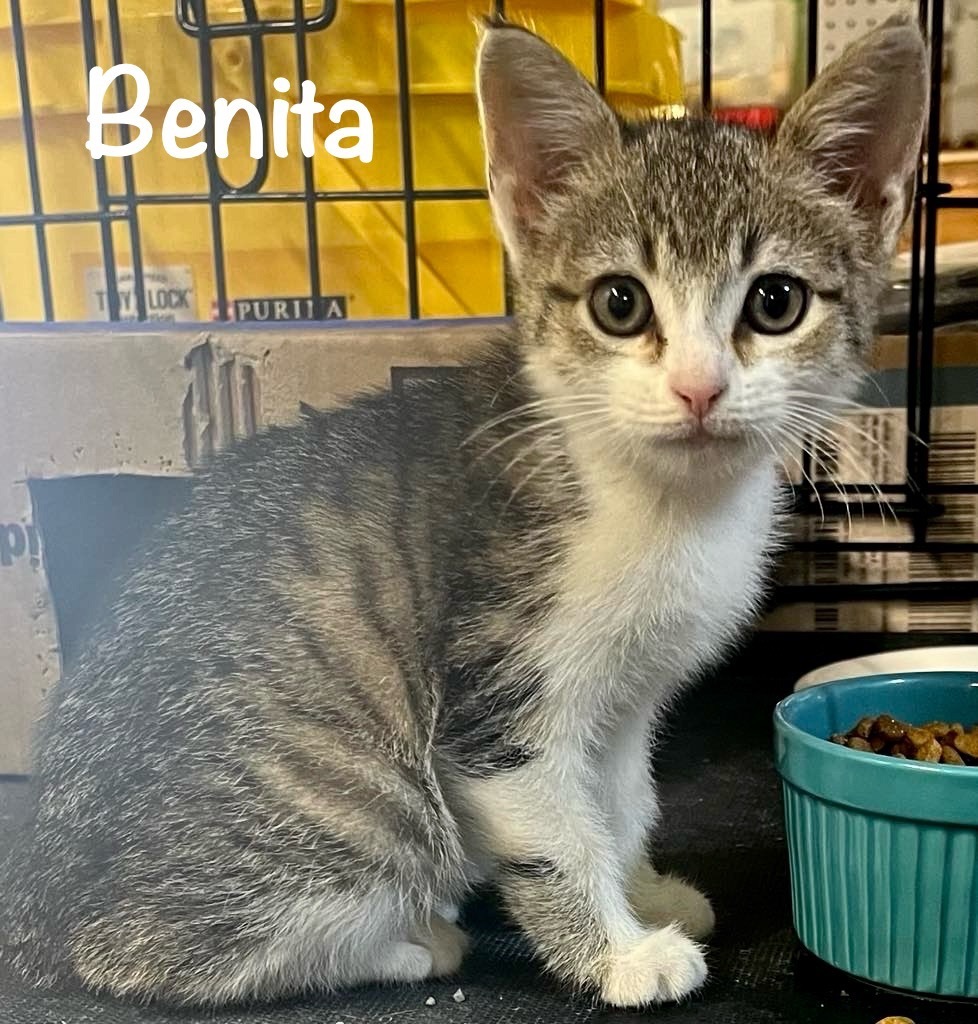 Benita