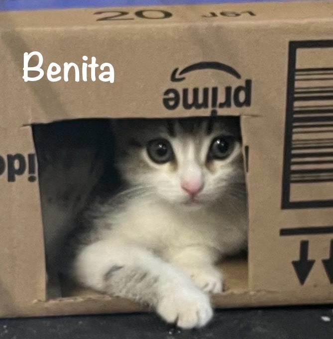 Benita