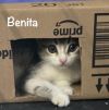 Benita photo 2