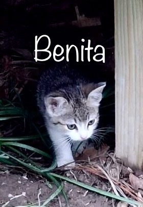 Benita