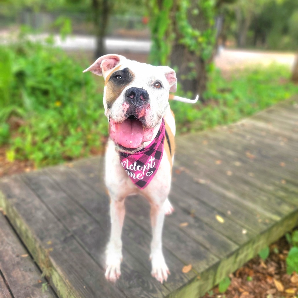 Wilma