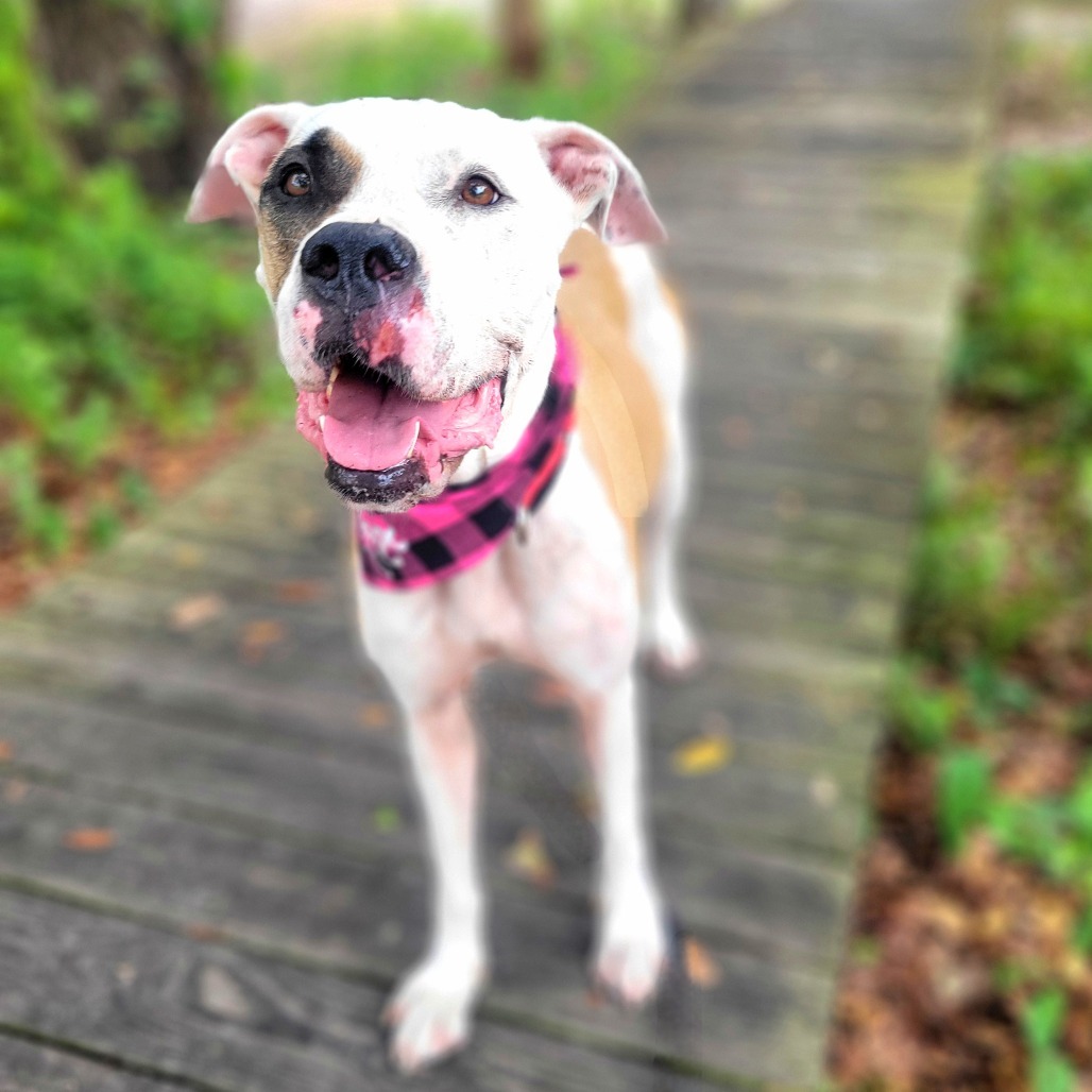 Wilma