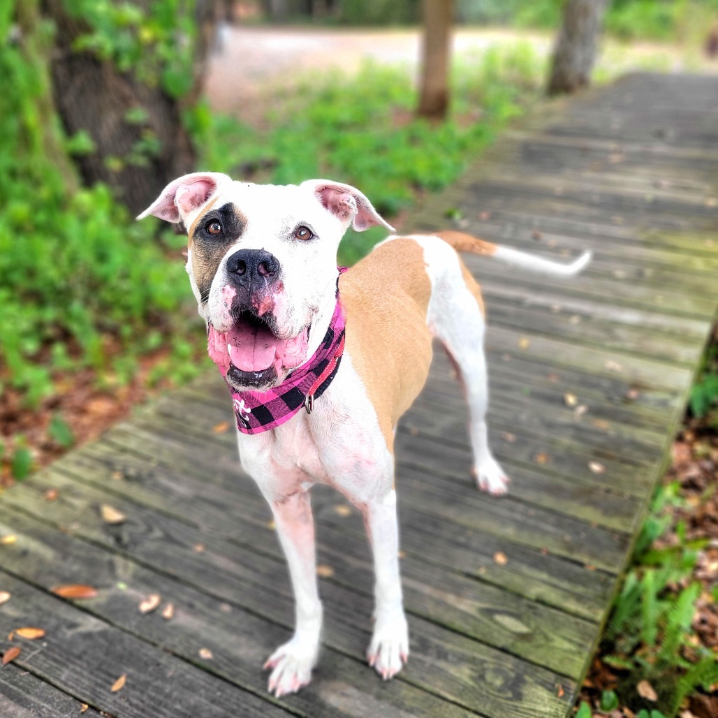 Wilma