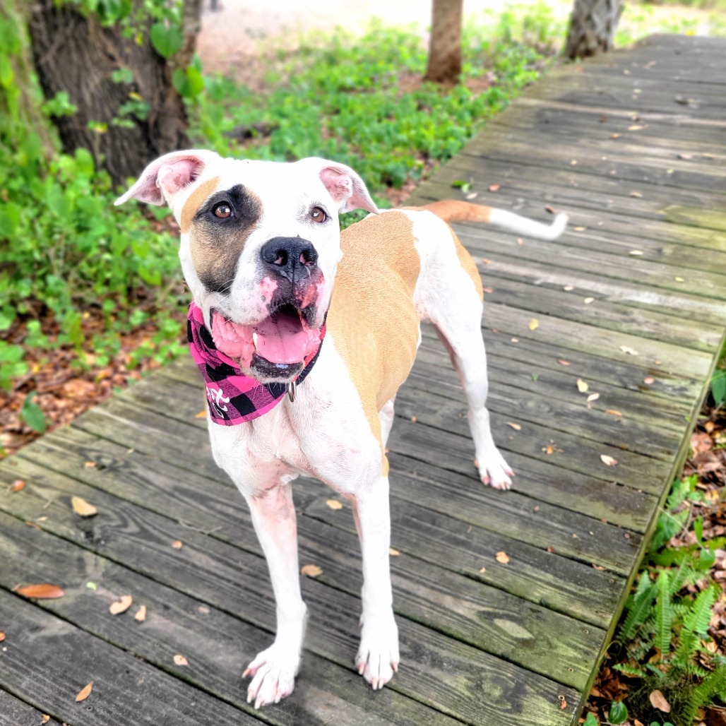 Wilma
