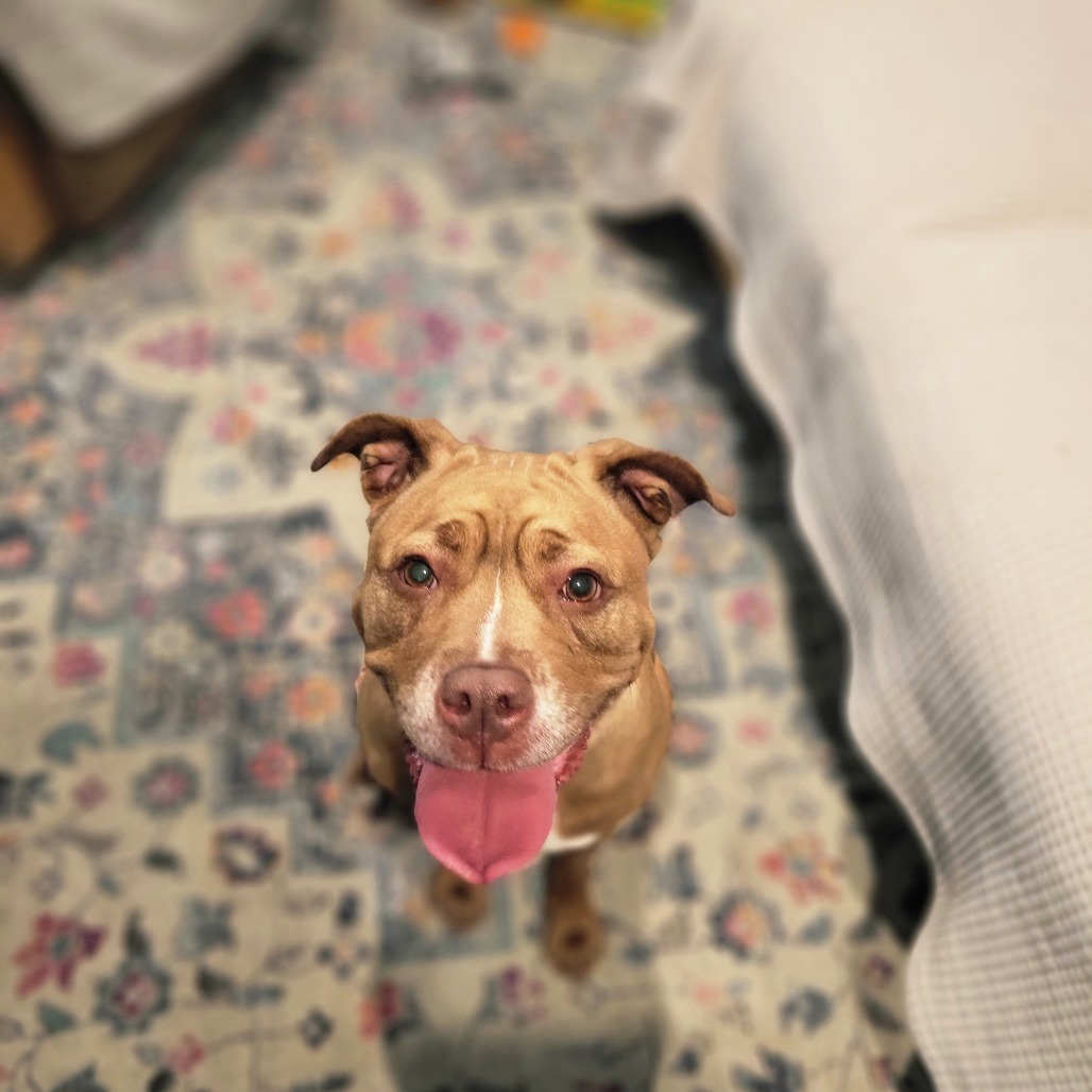 Penny