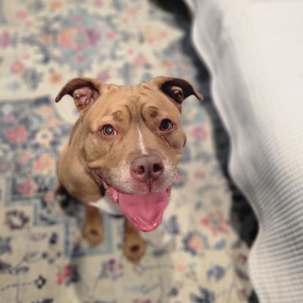 Penny