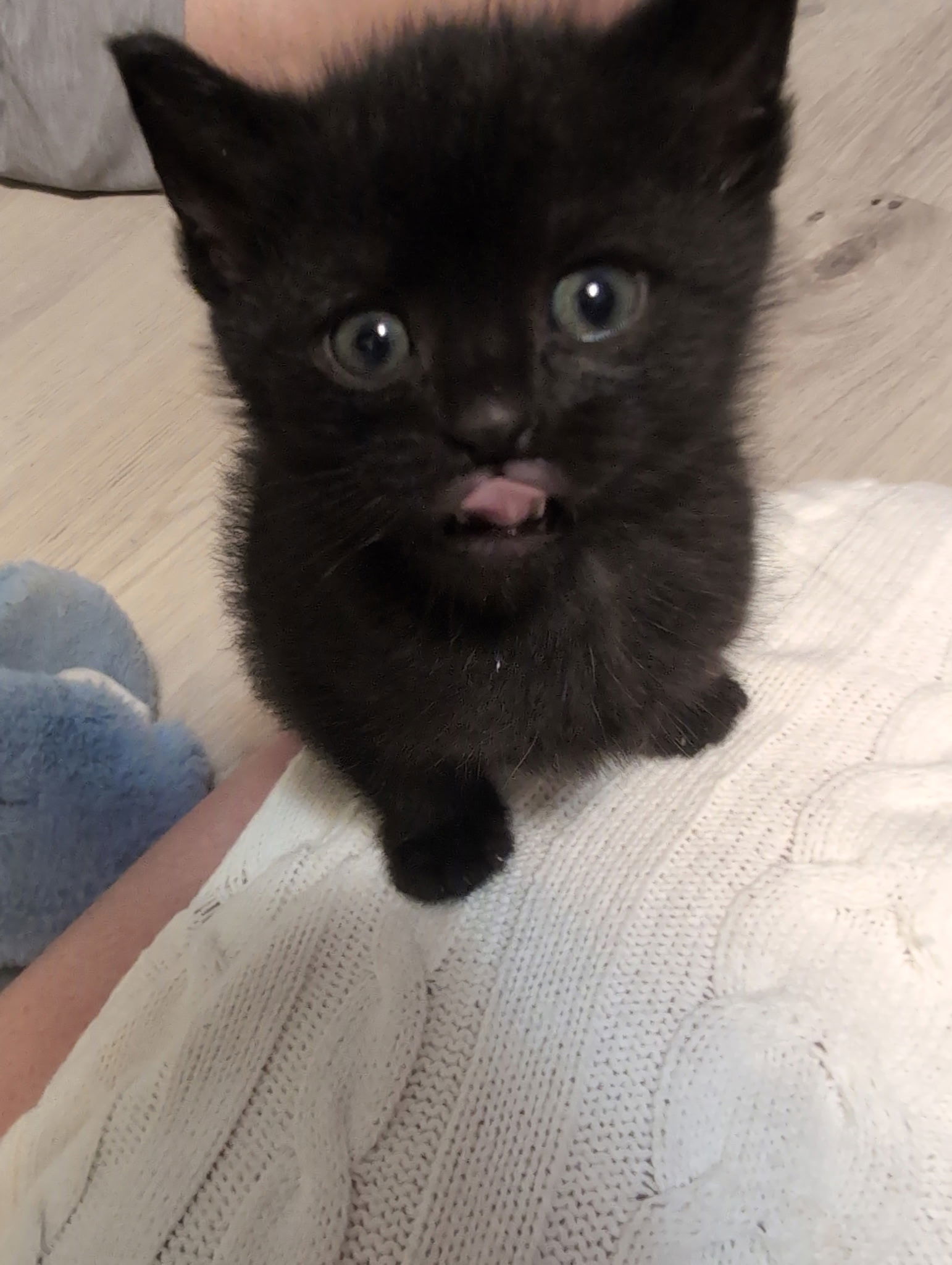 Sgt Tibbs