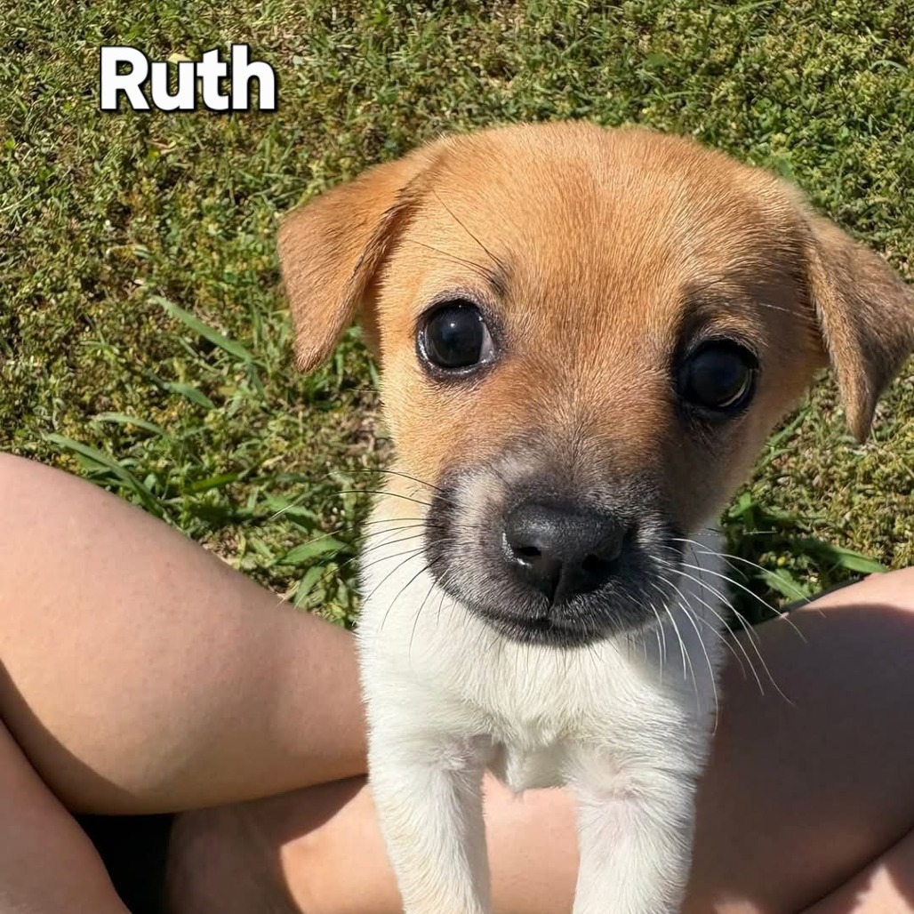 Ruth